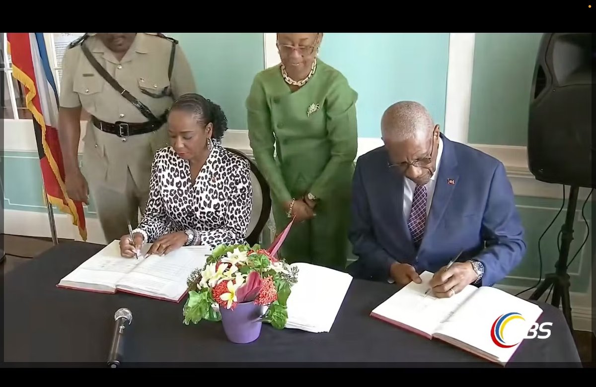 Jamilla Kirwan Sworn In as Independent Senator Amid Personal Grief