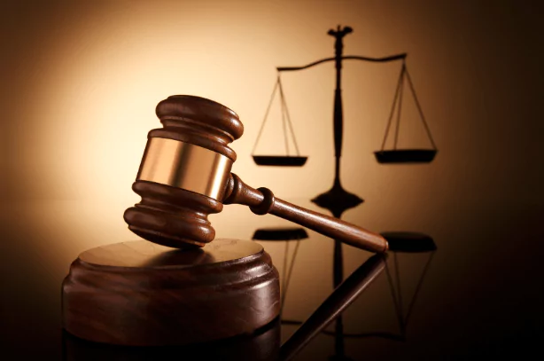 Man Ordered to Pay $20,000 After Breaking Neighbour’s Arm