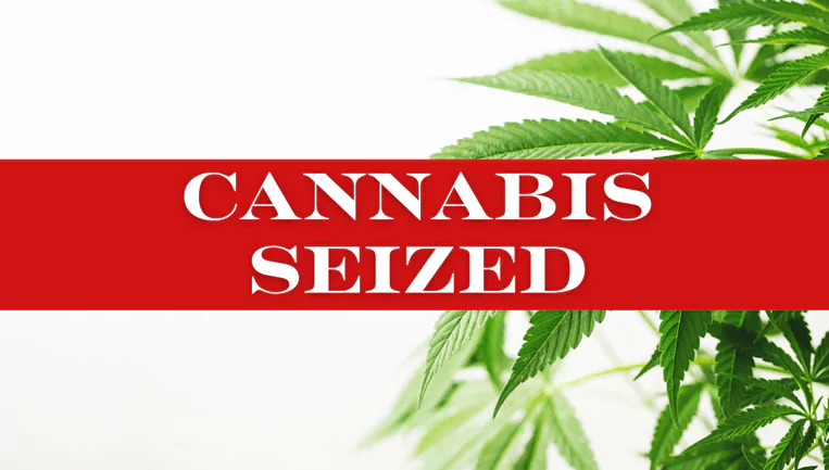 Police Seize Over 13 Pounds Of Cannabis At Airport In Joint Drug Operation