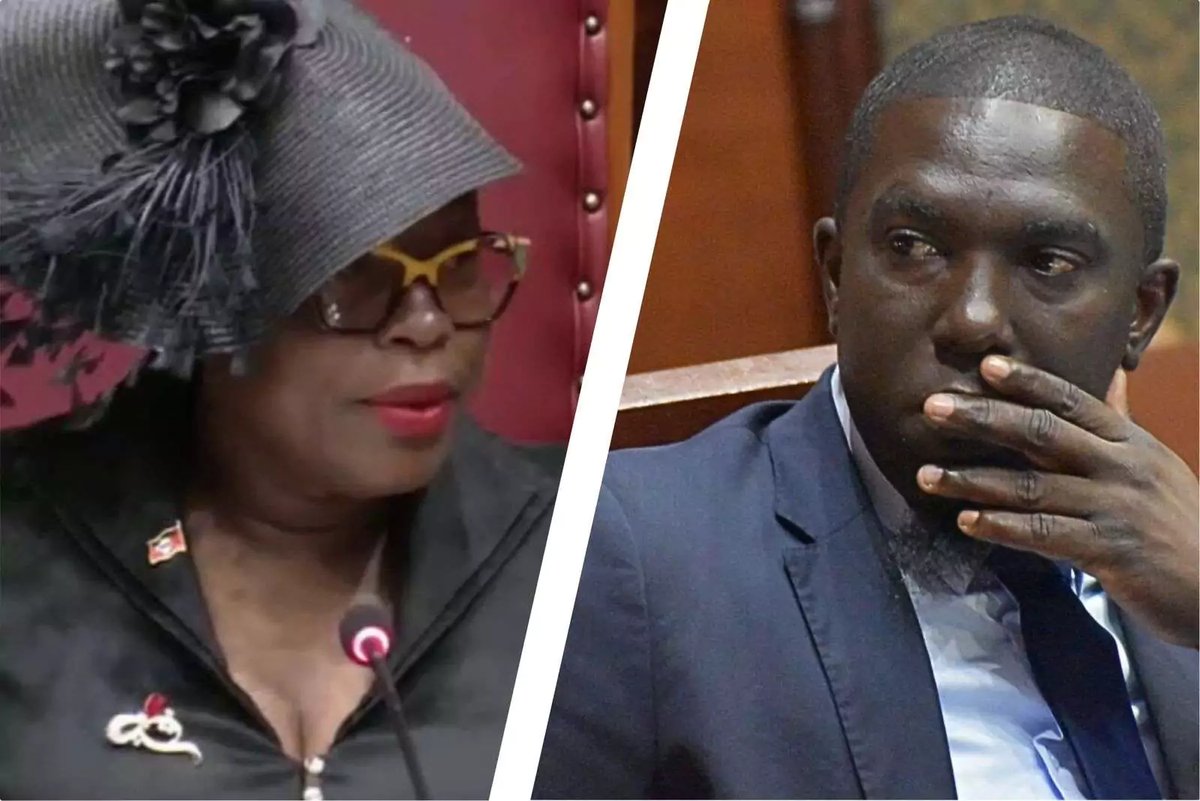 Opposition Leader Pringle Ejected from Joint Sitting Over Oath Requirement