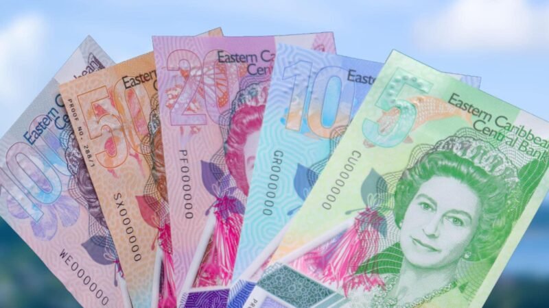 Browne: Back Pay Delays Stem from Missing Ministry Documents, Not Funding Shortfall