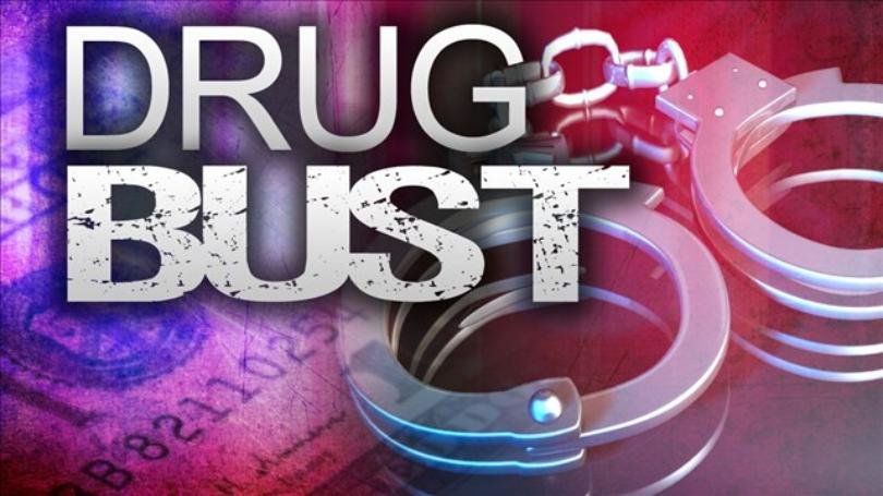 Four Men Arrested After Police Seize 500 Cannabis Plants Near Pares Village