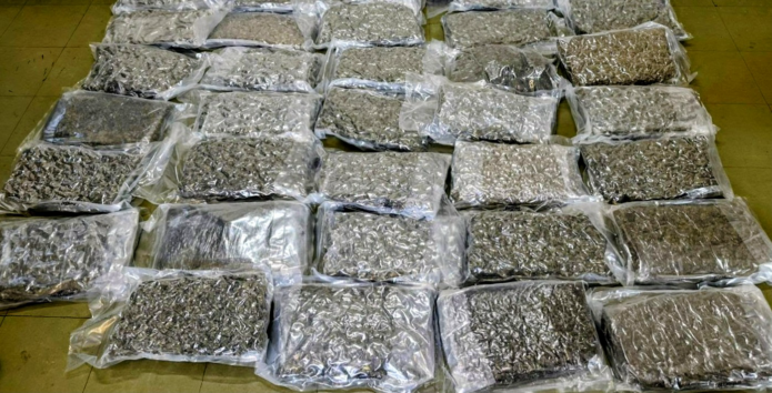 Police and Customs Seize 34 Pounds of Cannabis at VC Bird Airport