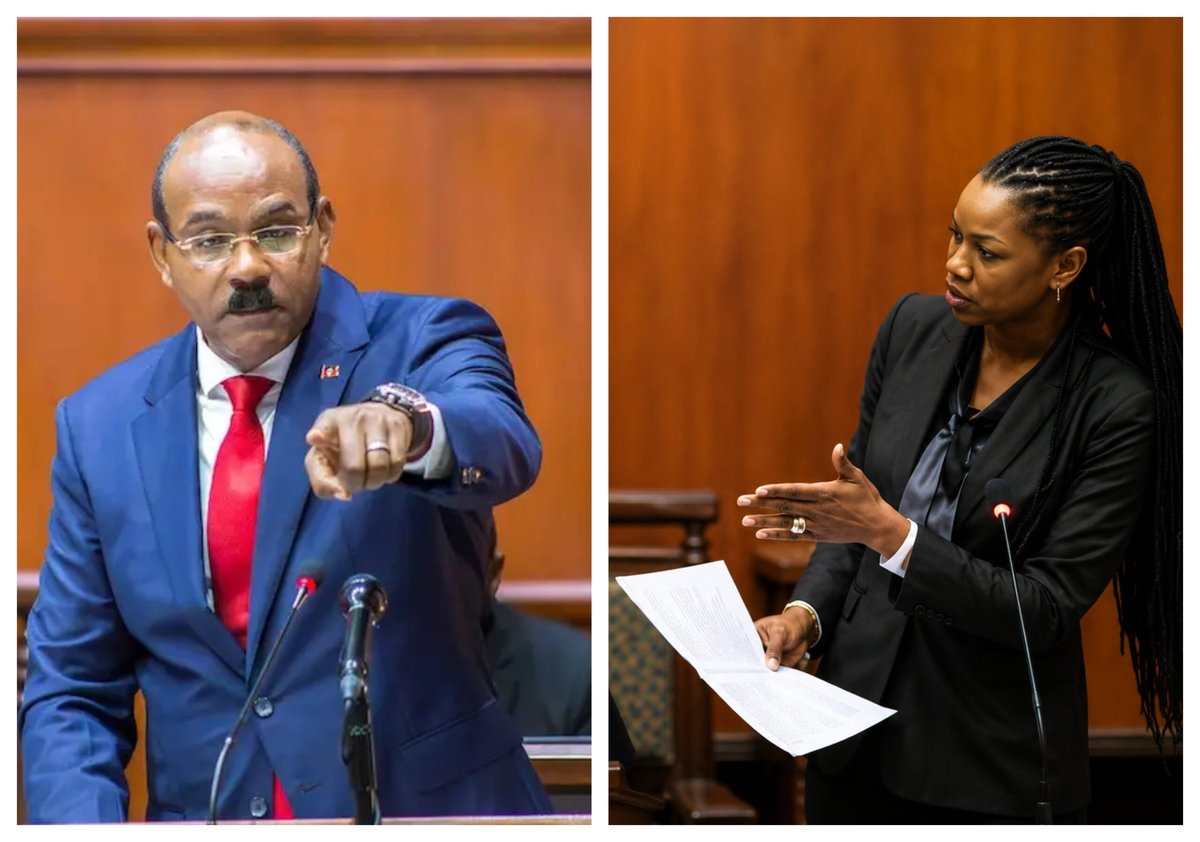 PM Browne Escalates Attack on UPP Senator Parker Over Partner's Drug Arrest