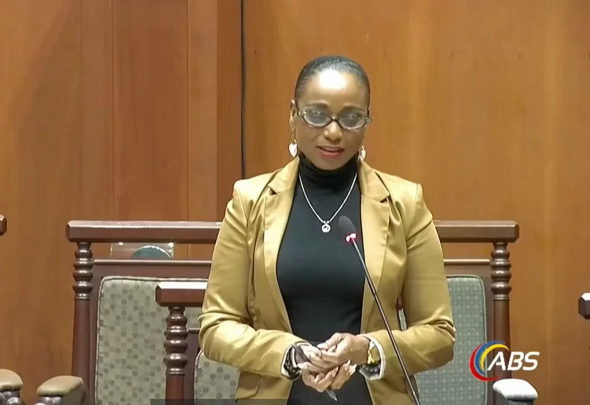 Independent Senator Jamilla Kirwan to Be Sworn In at Government House