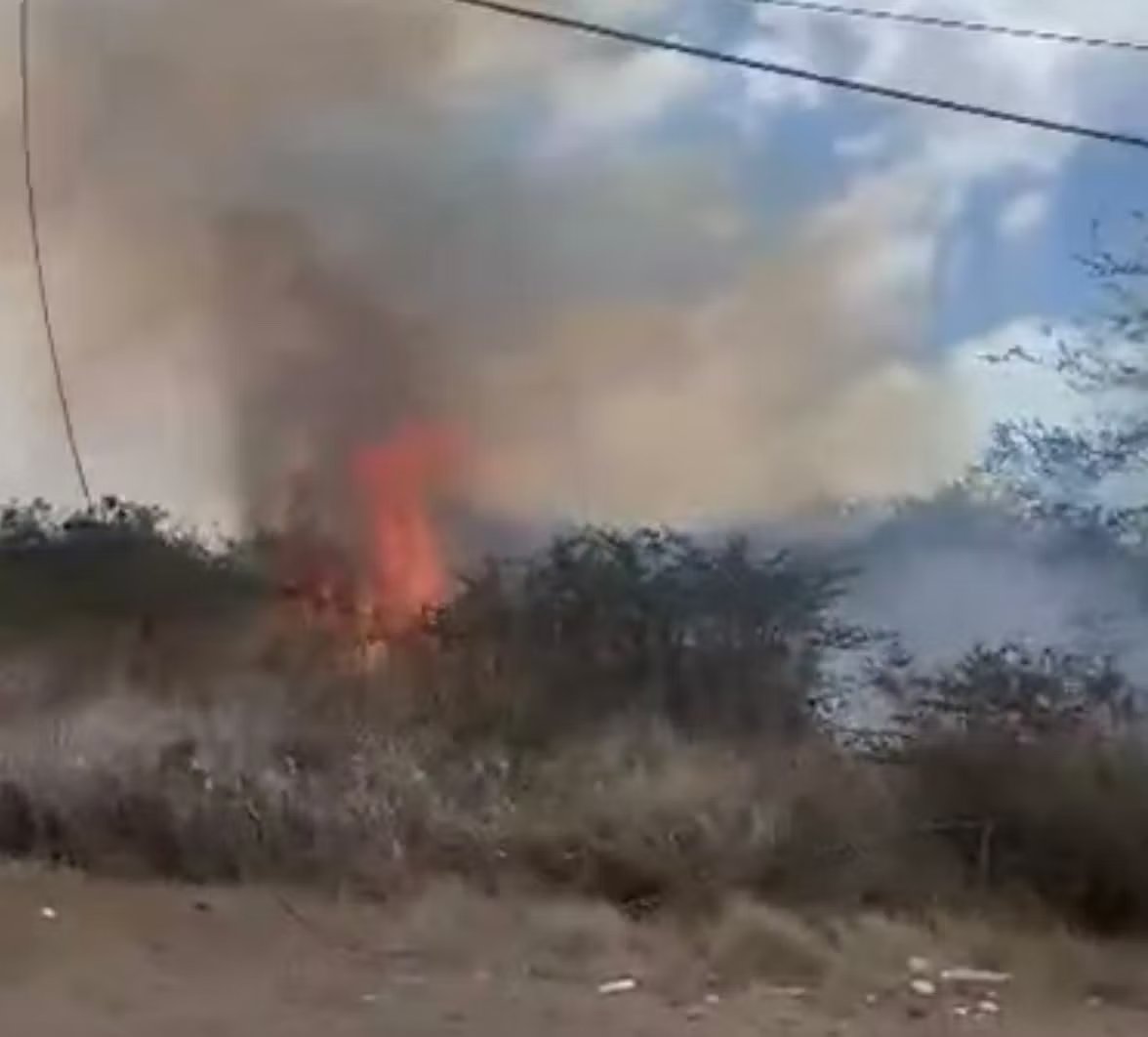 Bush Fire Breaks Out Along Utility Drive Near Car Dealership