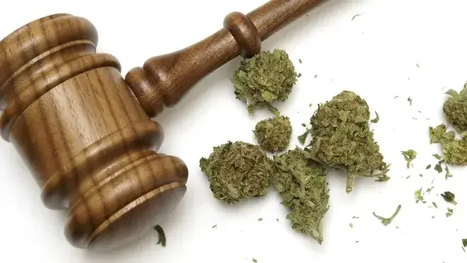 Pregnant American Woman Fined $3,000 After Cannabis Found in Airport Luggage