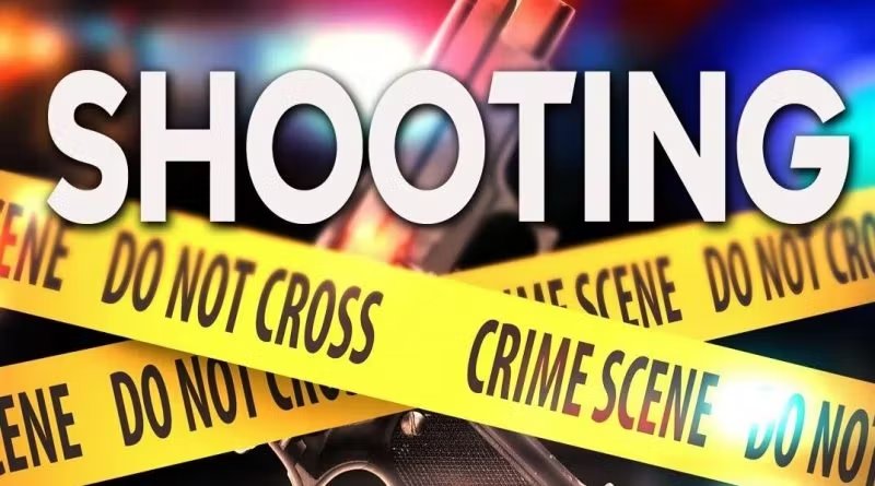 Police Pursue Vehicle After Shooting Reported on Sir Sydney Walling Highway