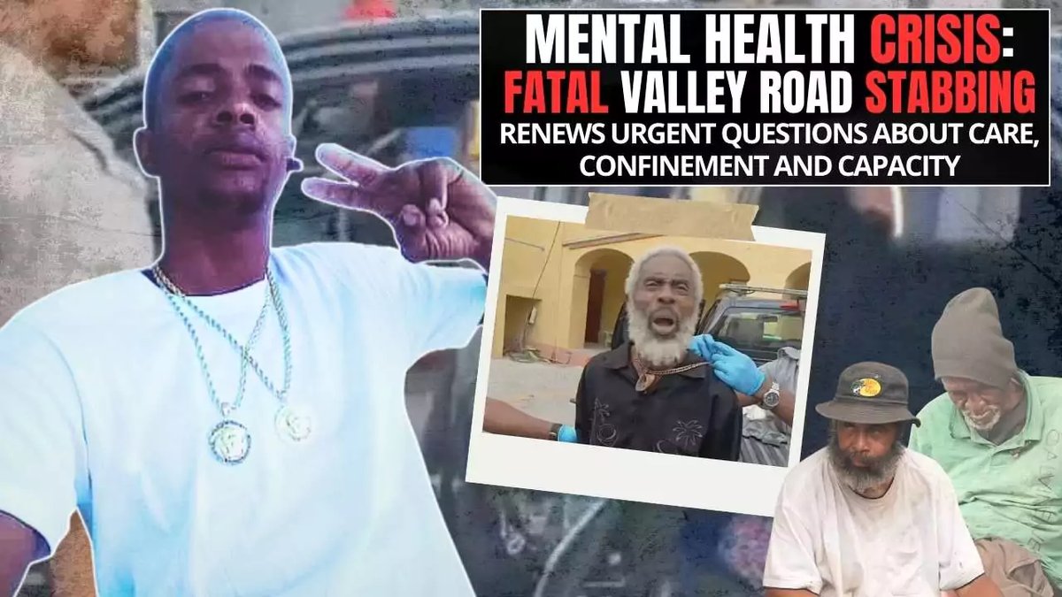 Fatal Valley Road Stabbing Sparks Renewed Calls for Mental Health Reform