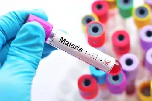 Two Cases of Malaria Confirmed in Antigua and Barbuda as Government Strengthens Health Surveillance