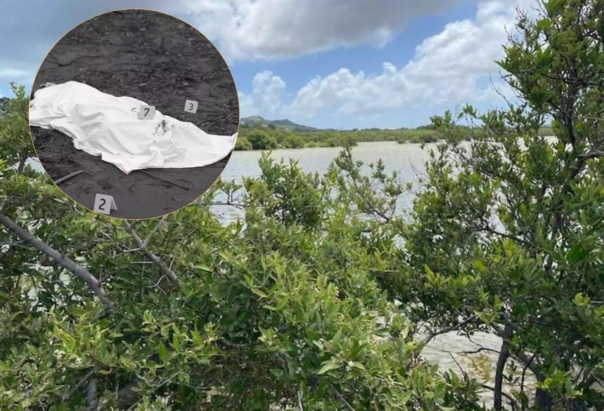 Police Probe Death of 75-Year-Old Man Found in McKinnons Salt Pond 