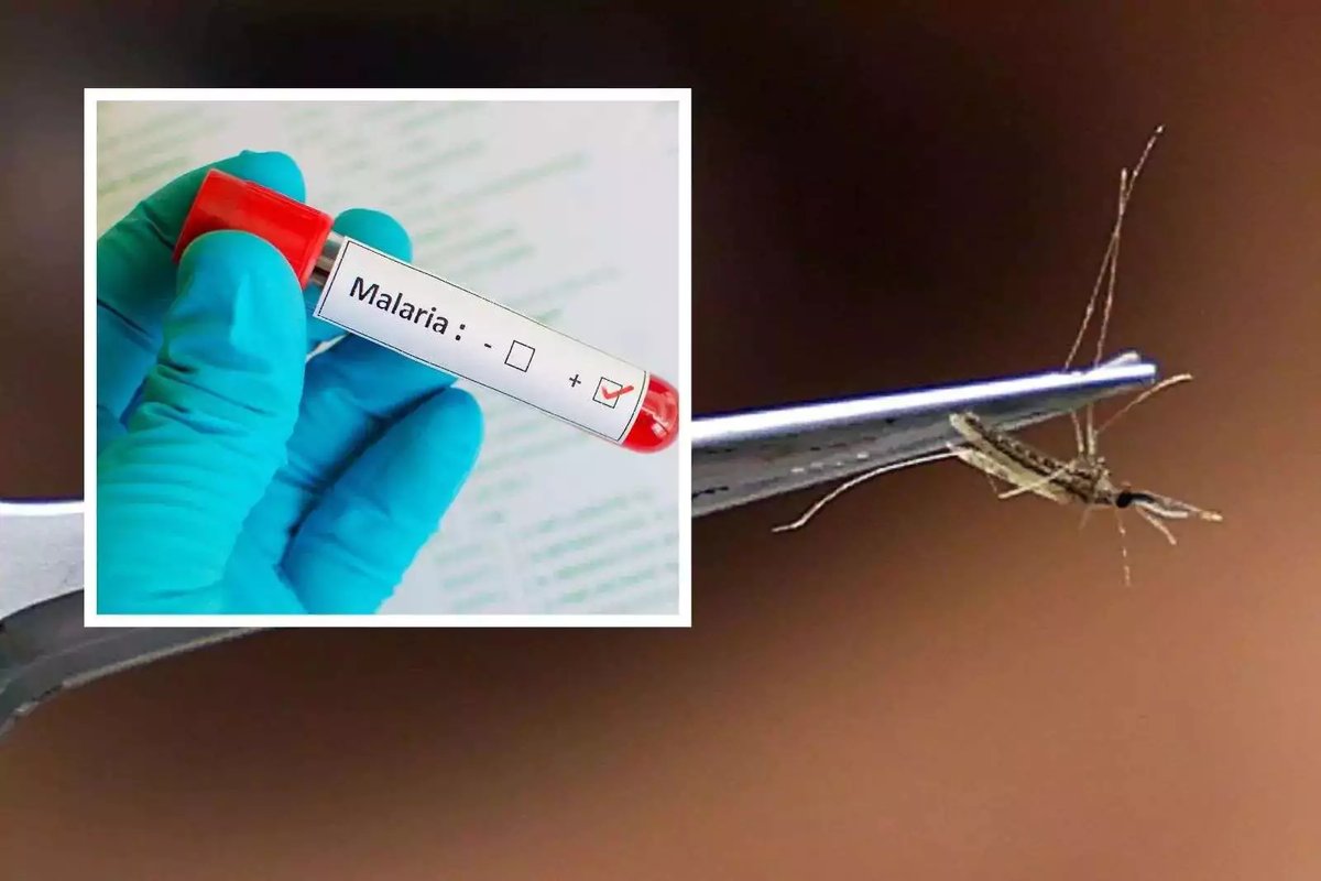 Two Cases of Malaria Confirmed in Antigua and Barbuda as Government Strengthens Health Surveillance  