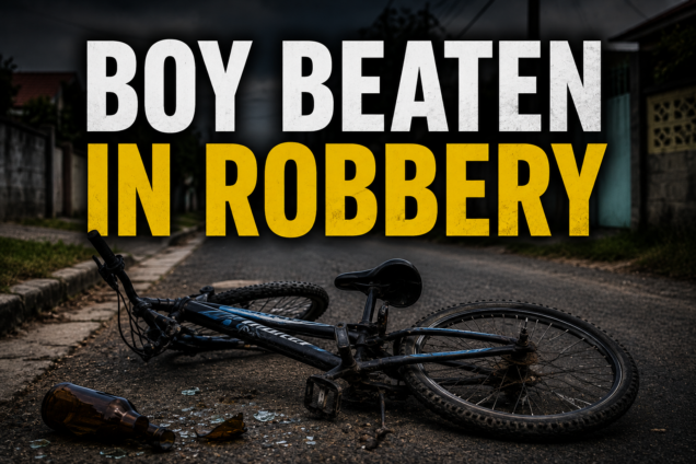 11-Year-Old Boy Beaten with Glass Bottle During Bicycle Robbery Attempt in Golden Grove